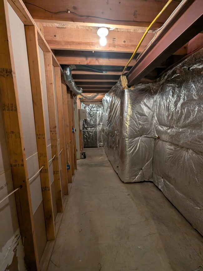 Basement storage room - 12124 Burning Ridge Ct