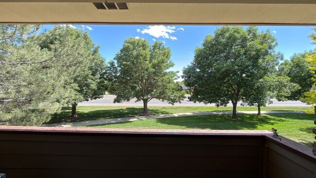 Building Photo - Great Condo in Fort Collins