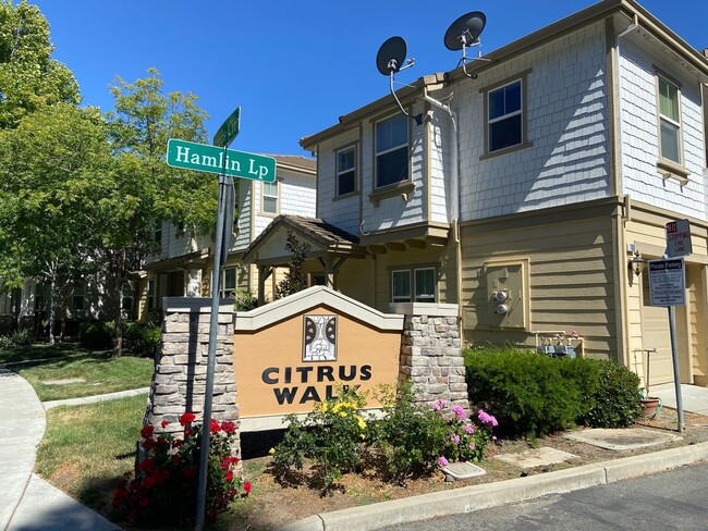 Building Photo - Gorgeous Townhouse with Attached Single-Ca...