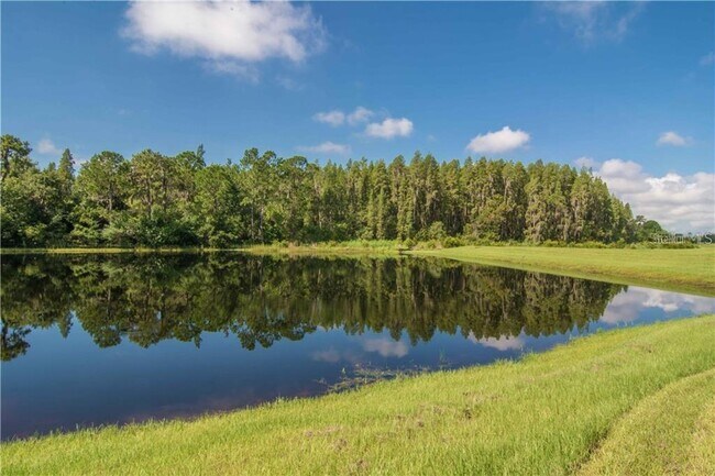 Building Photo - 12311 Ballentrae Forest Dr