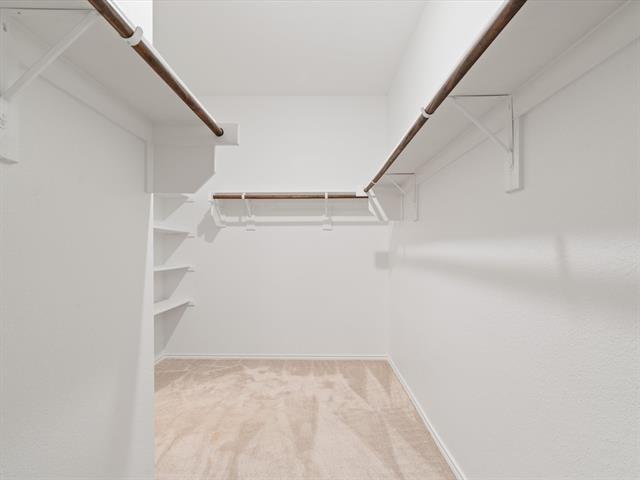 Building Photo - 803 Goldenrod Ln