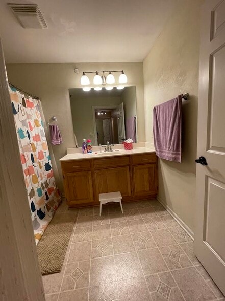 Second bathroom - 320 Jennifer Ln