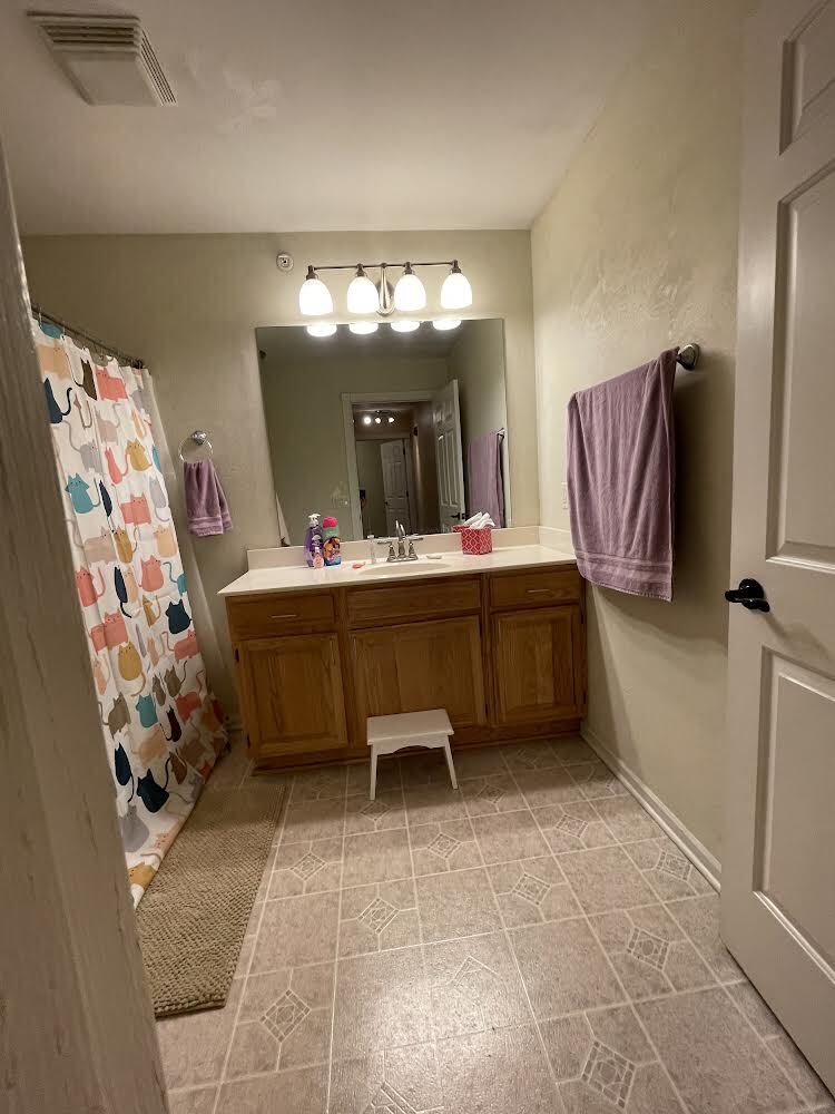 Second bathroom - 320 Jennifer Ln