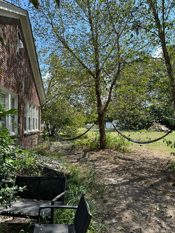 Building Photo - 47 Matthews St