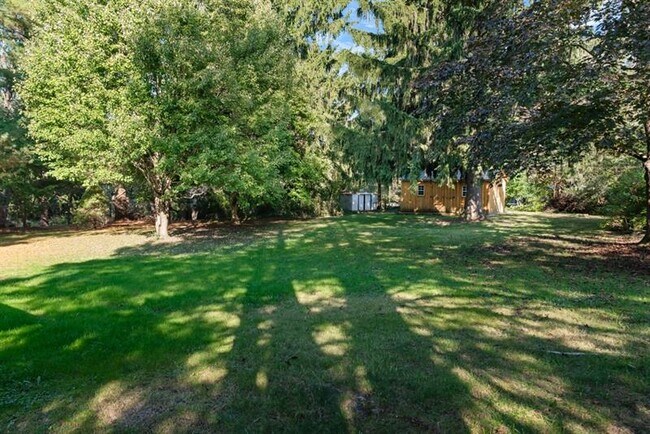 Building Photo - 207 Chan Mowr Dr