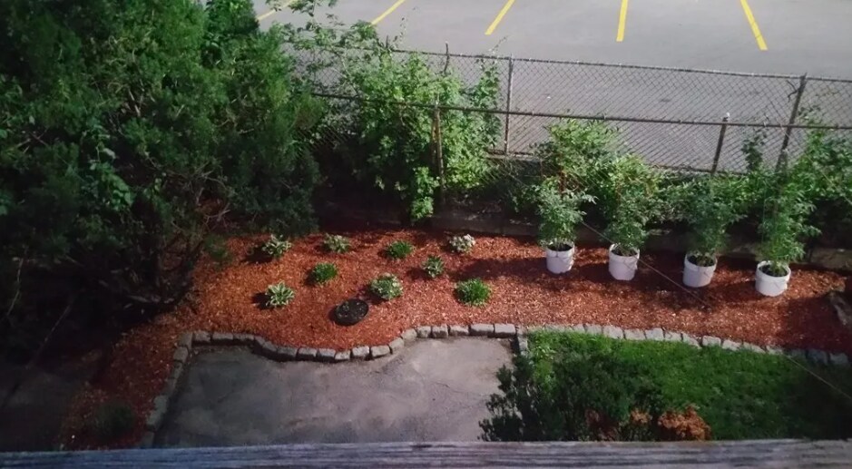 Building Photo - 60 Homer Ave