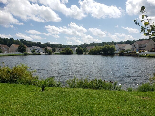 Building Photo - WOODBRIDGE POINTE