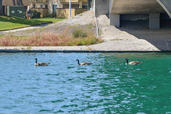 Building Photo - 142 Monaco Dr