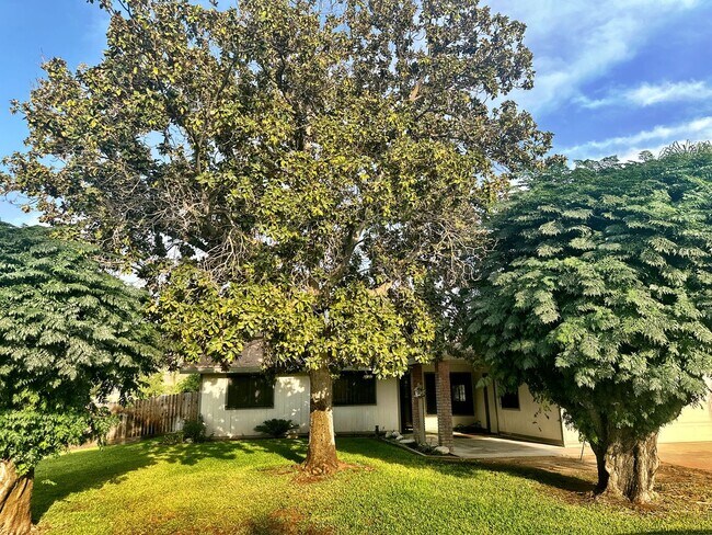 Building Photo - 570 N Lemona St