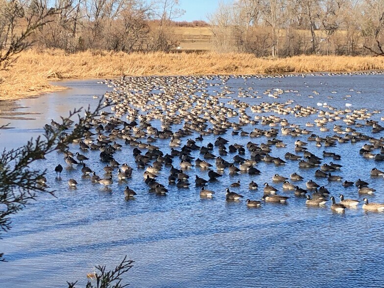 Building Photo - 2002 S Fork Dr