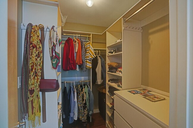 Building Photo - 1831 Sabal Palm Dr