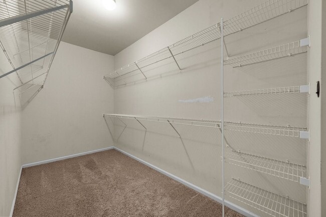 Building Photo - Welcome to Carolina Forest!