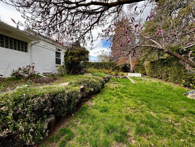 Building Photo - Non-Refundable & Security Deposit Total: $3000.00