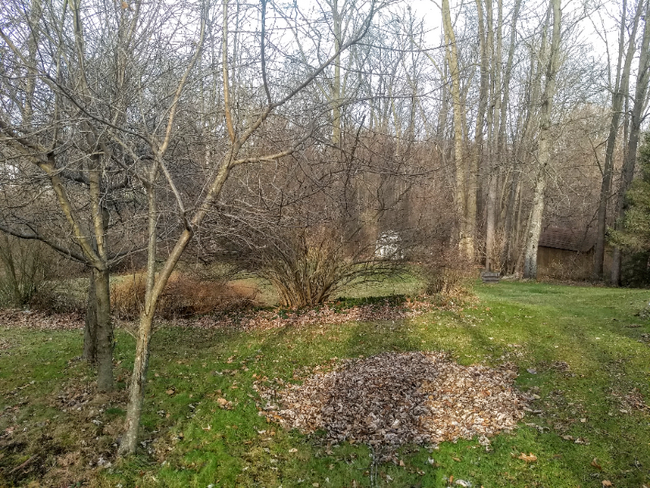 Building Photo - 16351 Petro Dr