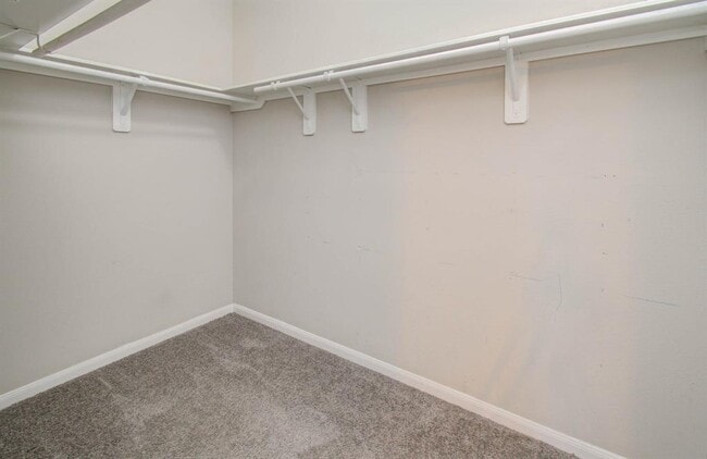 Building Photo - 3102 Gianna Springs Ct
