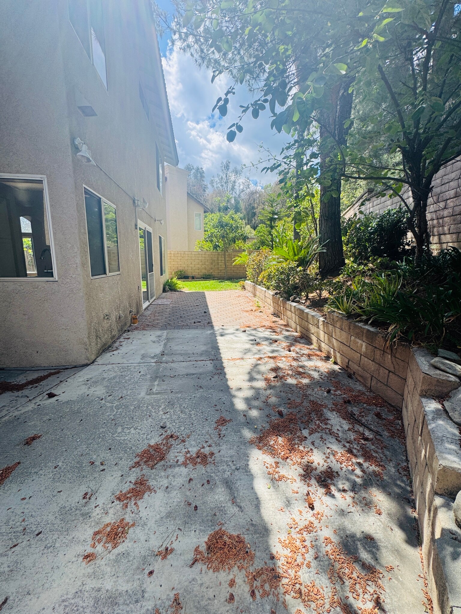 Backyard - 2834 Rolling Meadow Dr