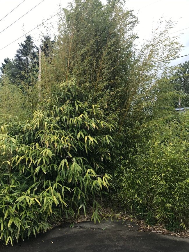 Building Photo - Available Now - 2bed, 1 bath house