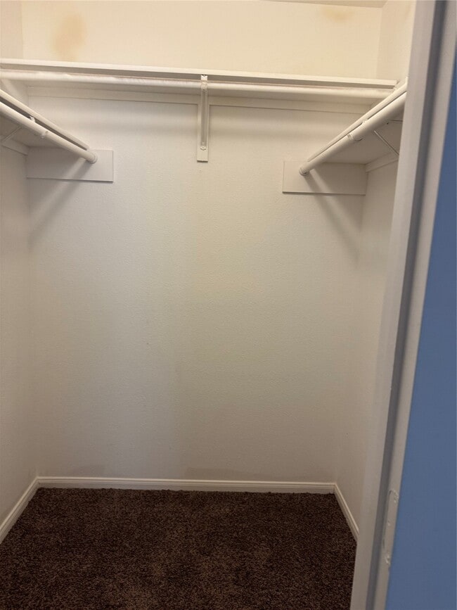 Building Photo - 11123 Cayman Mist Dr