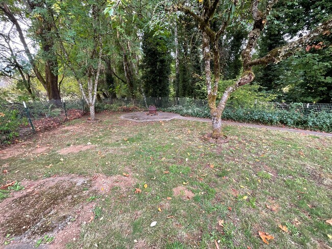 Building Photo - Great 2 Bedroom 1 Bath Home Near the Heart of Shelton