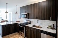 Kitchen - The Elevation Lofts