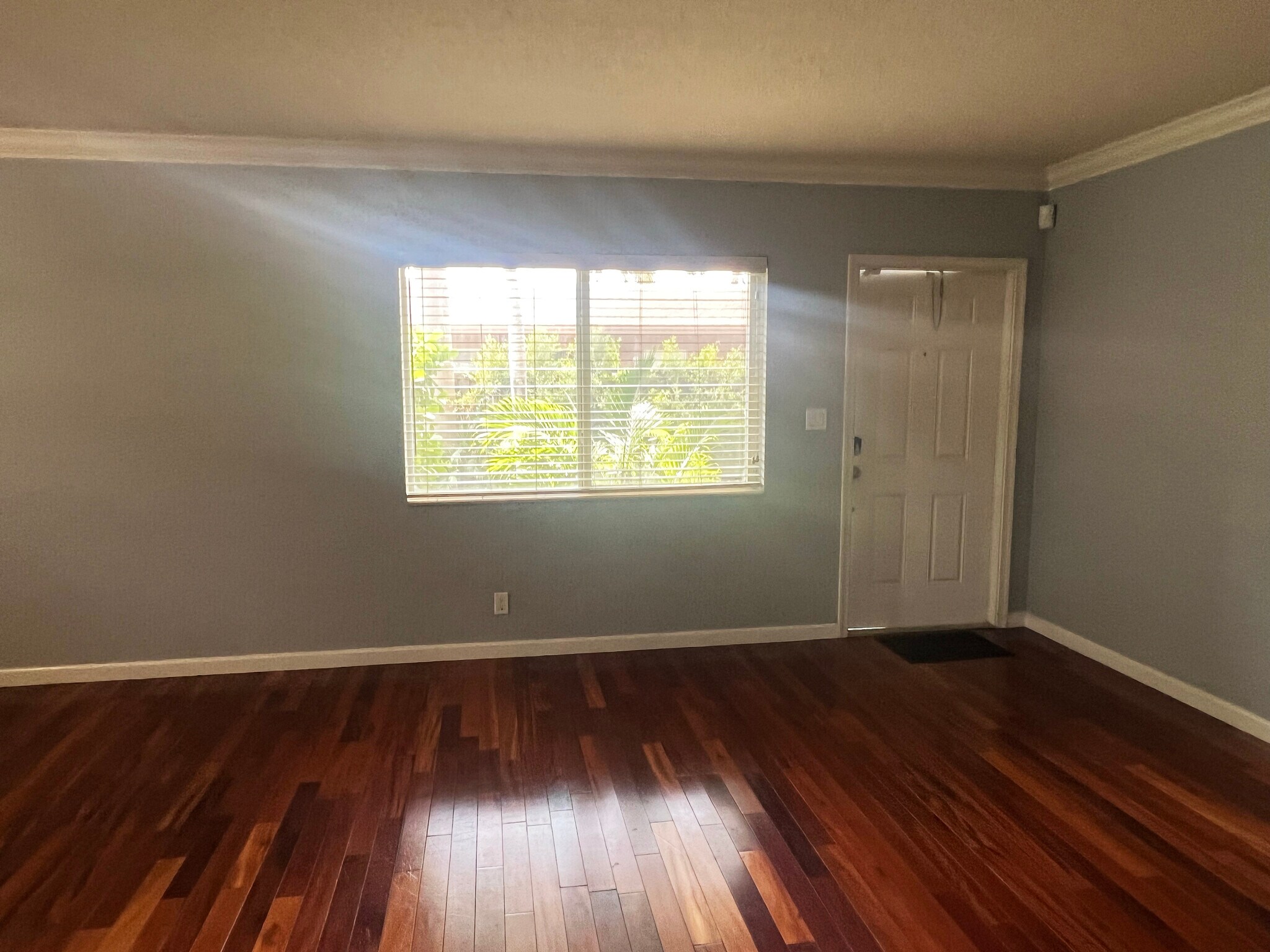 View of front door from Living room - 1353 Holly Heights Dr