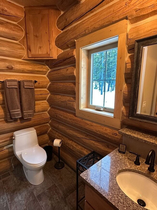 Building Photo - 6 month lease! Fairplay Cabin! 2 beds plus...