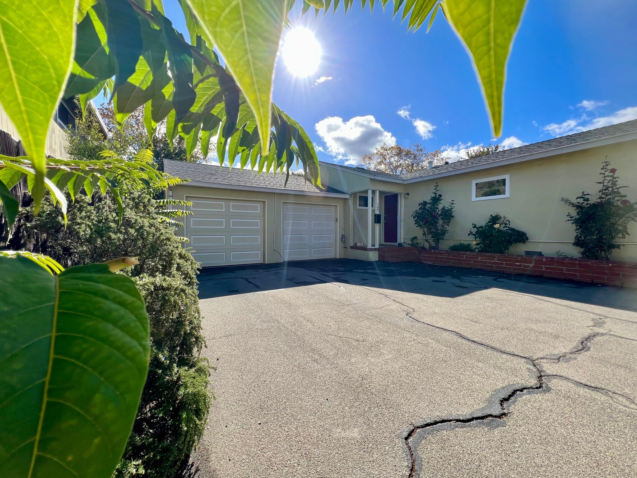 large courtyard - 127 22nd Ave