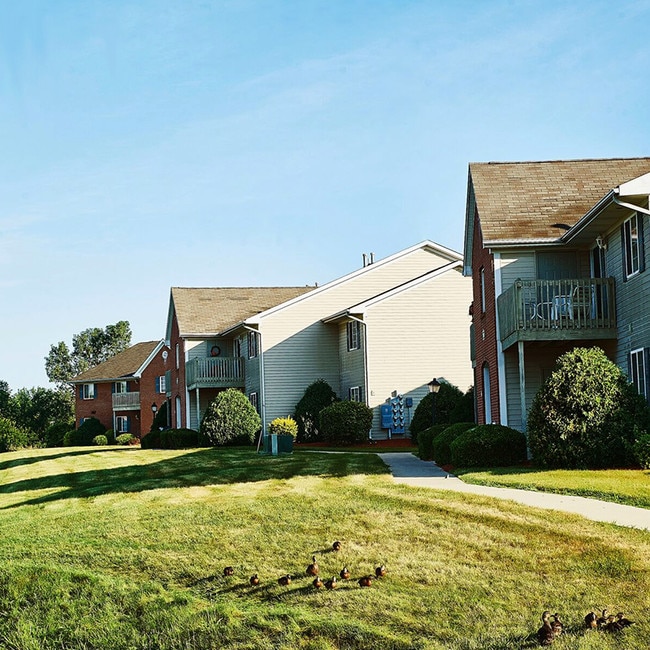 Building Photo - Hauenstein Hills Apartments - 7744