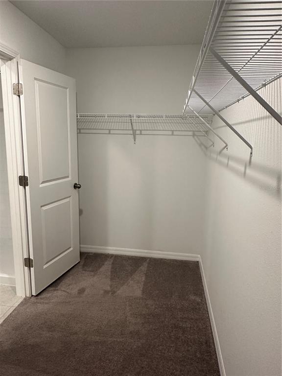 Building Photo - 5254 White Chicory Dr
