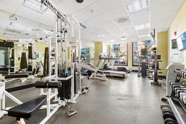 Building Photo - Beautiful 2 Bed 1.75 Bath Condo in Downtown Bellevue