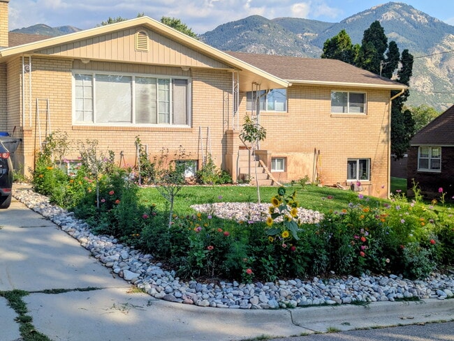 Primary Photo - North Ogden Home