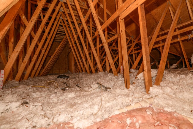 Building Photo - 430 Wedgewood Cir