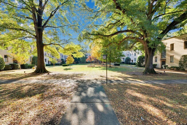 Building Photo - Fully furnished and thoughtfully updated top-floor condo in the heart of Dilworth at desirable My...