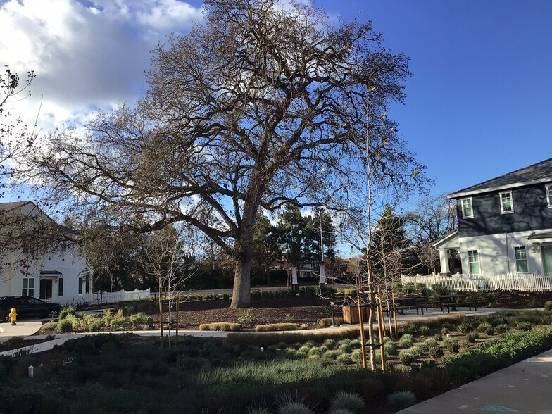 Community Park 2 - 26 Irby Ranch Dr