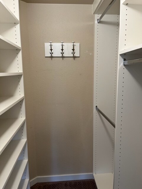Walkin closet - 100 Park Ave W
