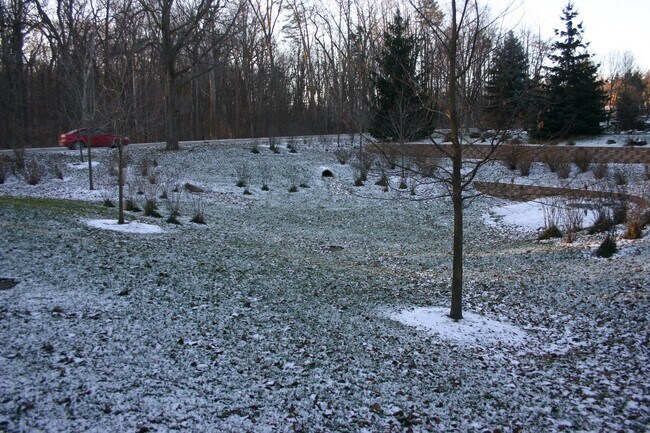 Backyard - 1750 W Liberty St