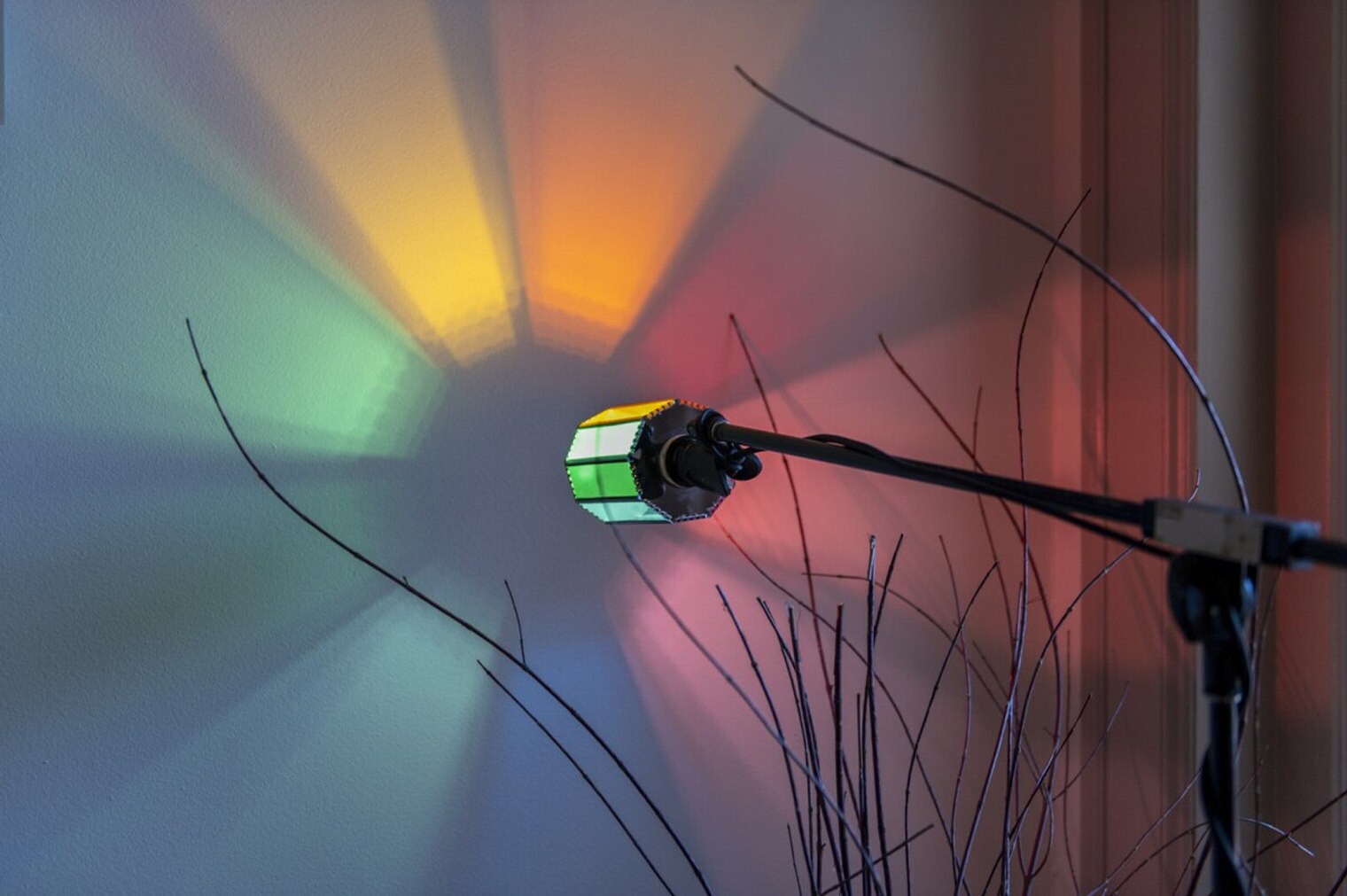 Building Photo - 1555 California St