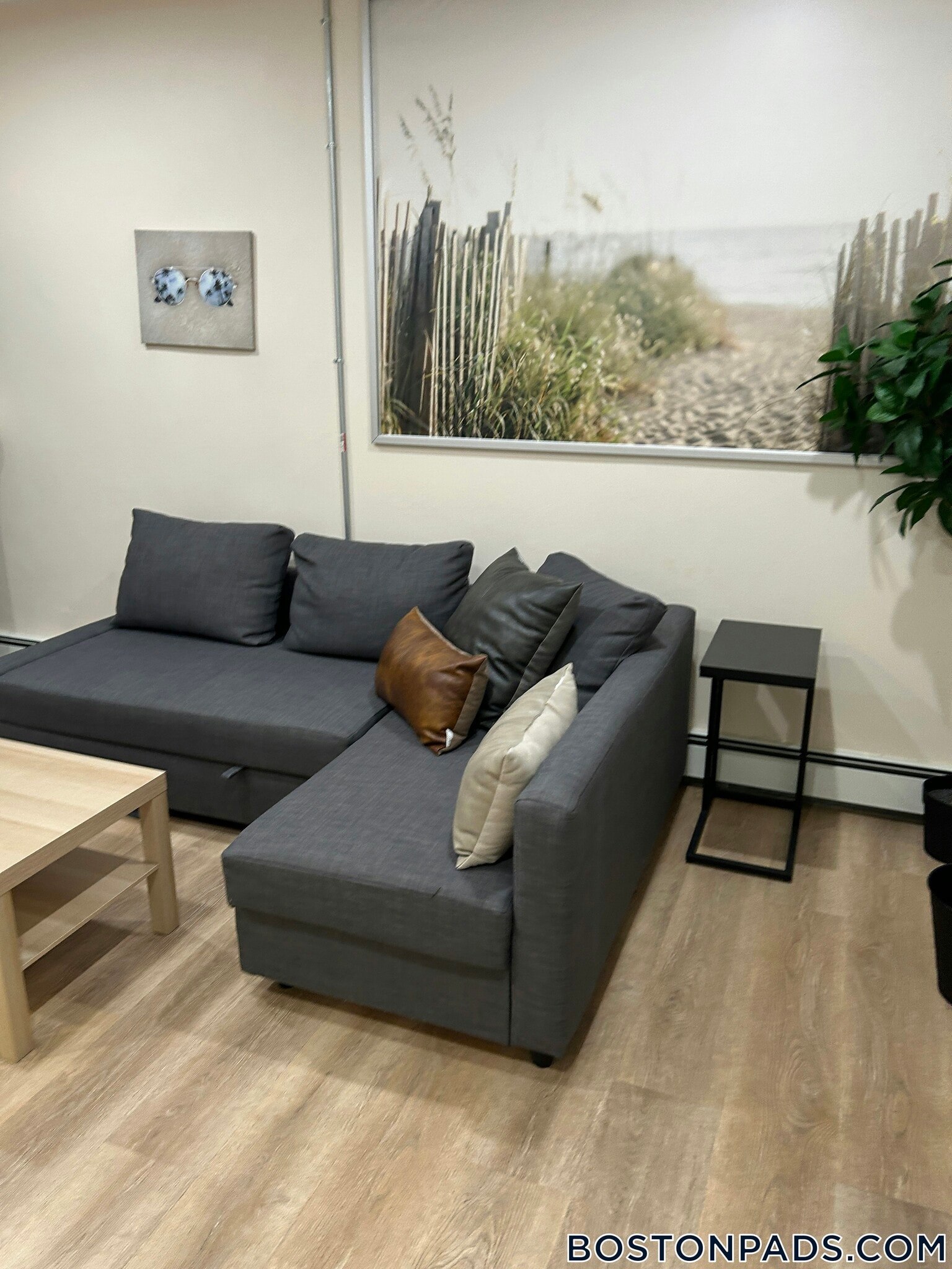 Building Photo - 871 Harrison Ave