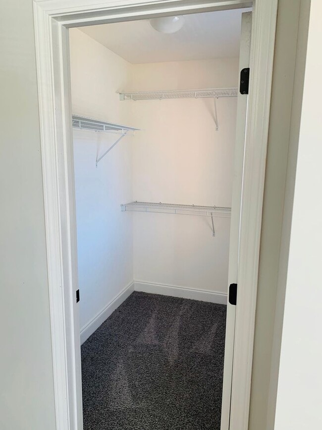 Building Photo - 2005 Stephanie Ct