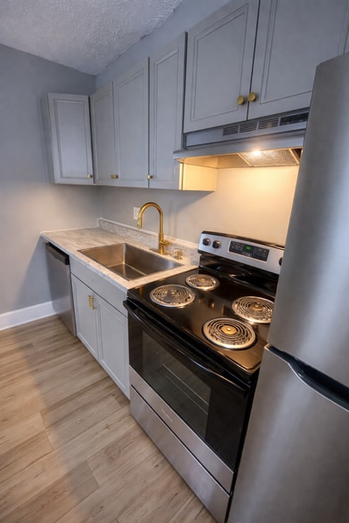 Kitchen sink - 1283 E Fulton St