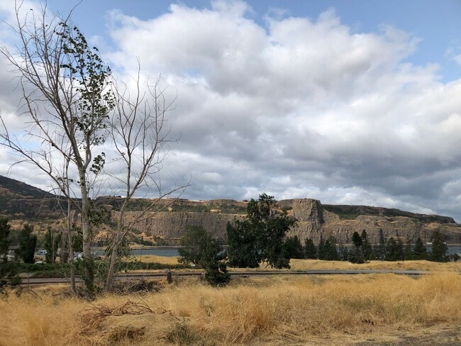 Building Photo - 2 Bedroom 1 Bathroom with River Views