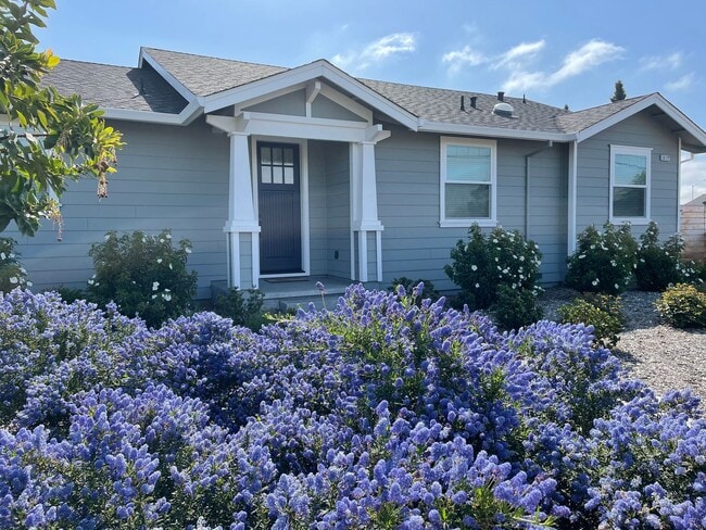 Building Photo - 3 bedroom 2 bath New Construction Coffey Park!!