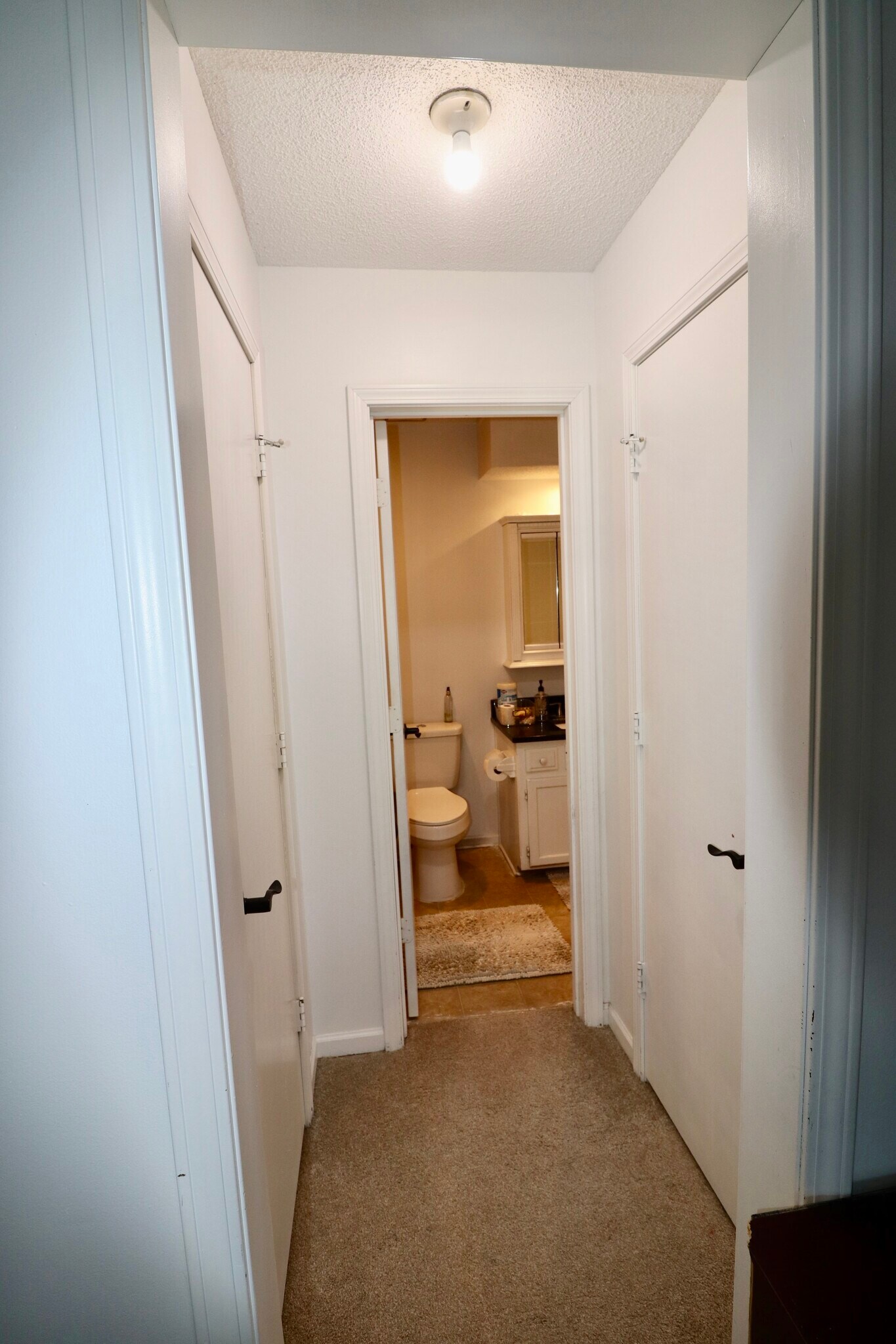 Master Bedroom Closet and bathroom access - 13847 S Alden Ct