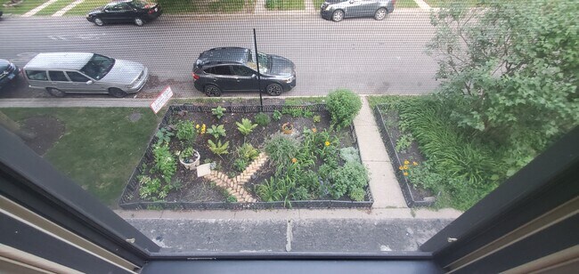 Front Garden View - 6442 N Glenwood Ave