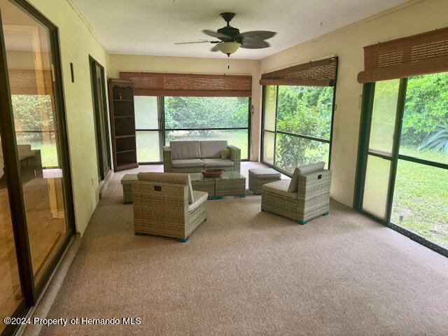 Building Photo - 15 Begonias Ct