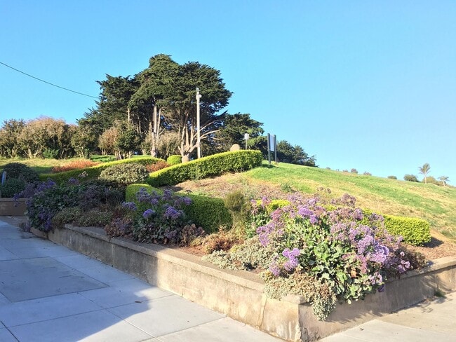 Alta Plaza Park - 2127 Fillmore St