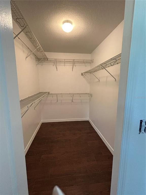 Building Photo - 2468 Brewerton Ln