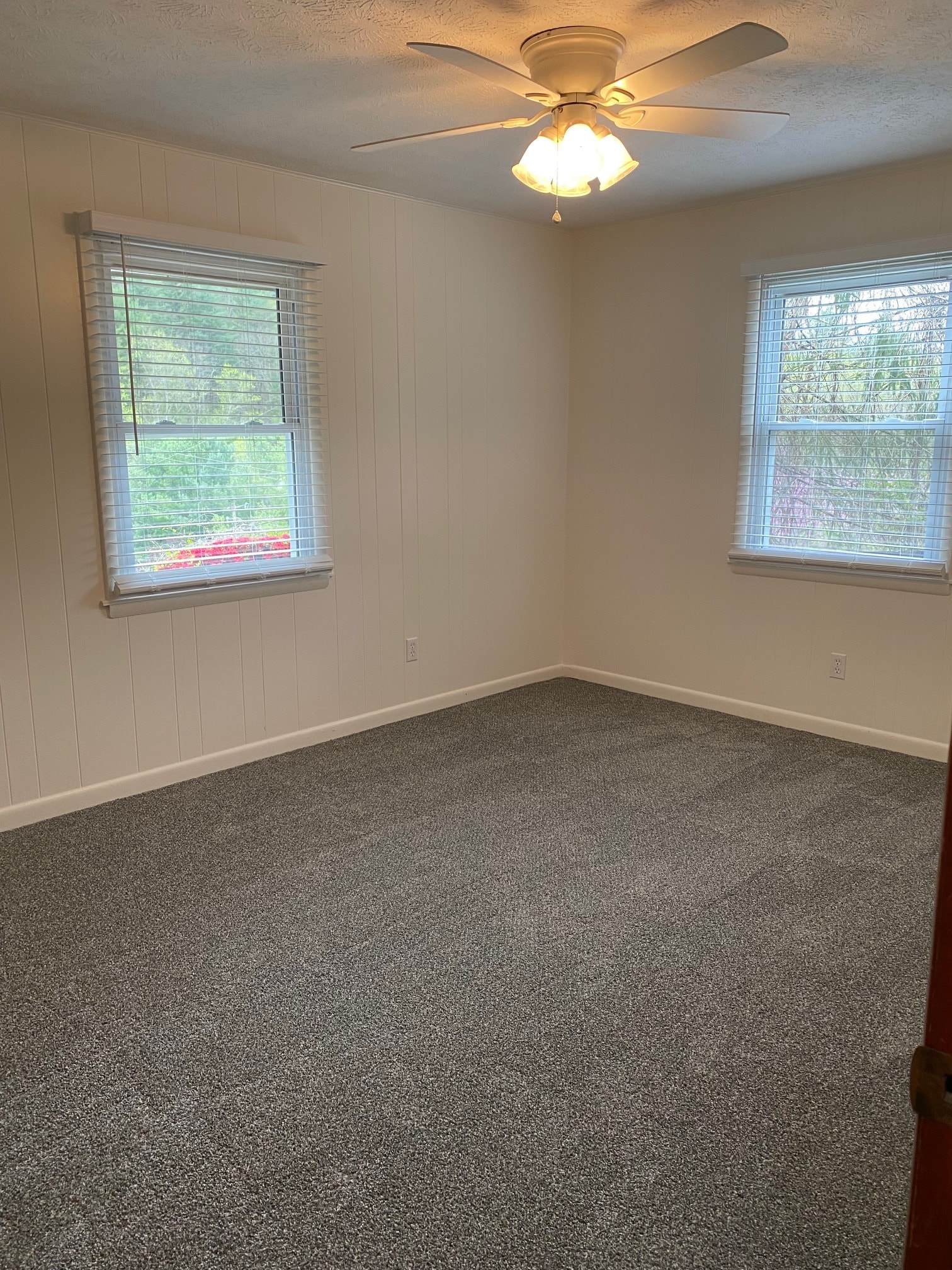 Natural Light - 56 Webb Cove Rd