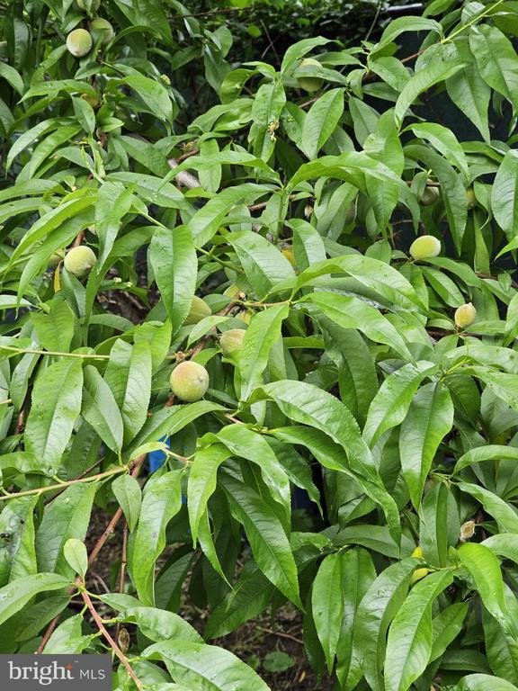 Building Photo - 1400 N Bouvier St