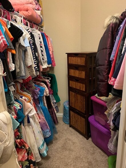 Bedroom 3 Walk in closet - 2436 Apiary Ct